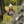 Load image into Gallery viewer, Autumn Cloud Beanie
