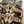 Load image into Gallery viewer, The Cabin Blanket

