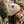 Load image into Gallery viewer, Autumn Cloud Beanie

