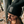 Load image into Gallery viewer, Black Beanies
