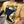 Load image into Gallery viewer, Minnesota Vintage Tee
