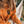 Load image into Gallery viewer, Autumn Blaze Hoodie
