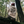 Load image into Gallery viewer, Doesn&#39;t Get Better Than This Zip Hoodie
