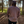 Load image into Gallery viewer, Winewood Long Sleeve
