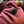 Load image into Gallery viewer, The Midwest Jogger
