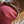 Load image into Gallery viewer, The Midwest Jogger
