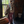 Load image into Gallery viewer, The Midwest Jogger
