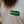 Load image into Gallery viewer, Smells Like Pine Tee
