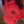 Load image into Gallery viewer, Coral Daydream Hoodie
