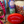 Load image into Gallery viewer, Celebrate Gift Set
